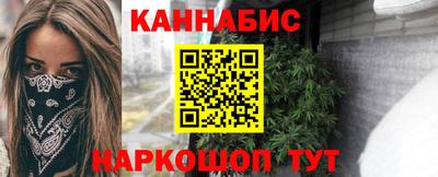 гашик Будённовск
