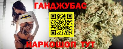 гашик Будённовск