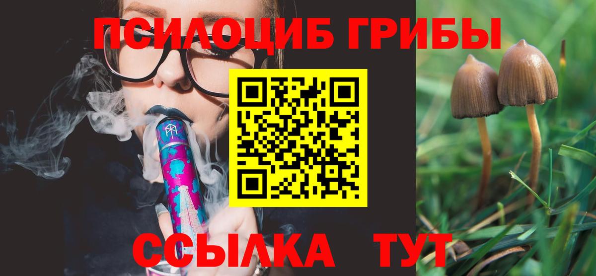 Прокопьевск  Псилоцибиновые грибы мухоморы  даркнет сайт  Вход с VPN 